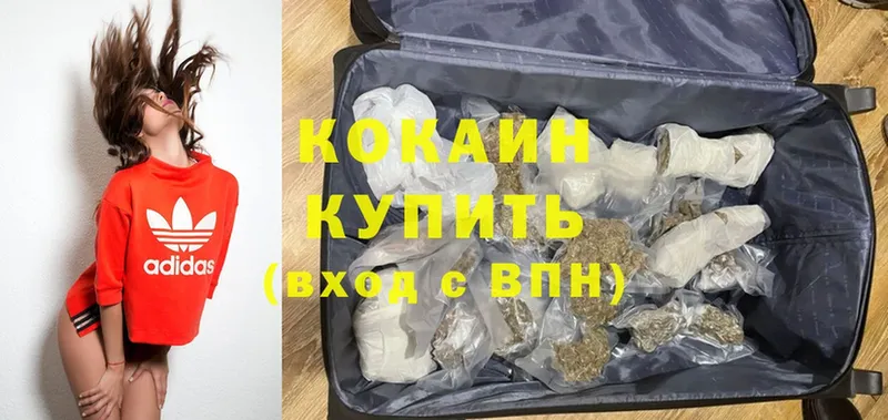 Cocaine Эквадор  kraken рабочий сайт  Приморско-Ахтарск 